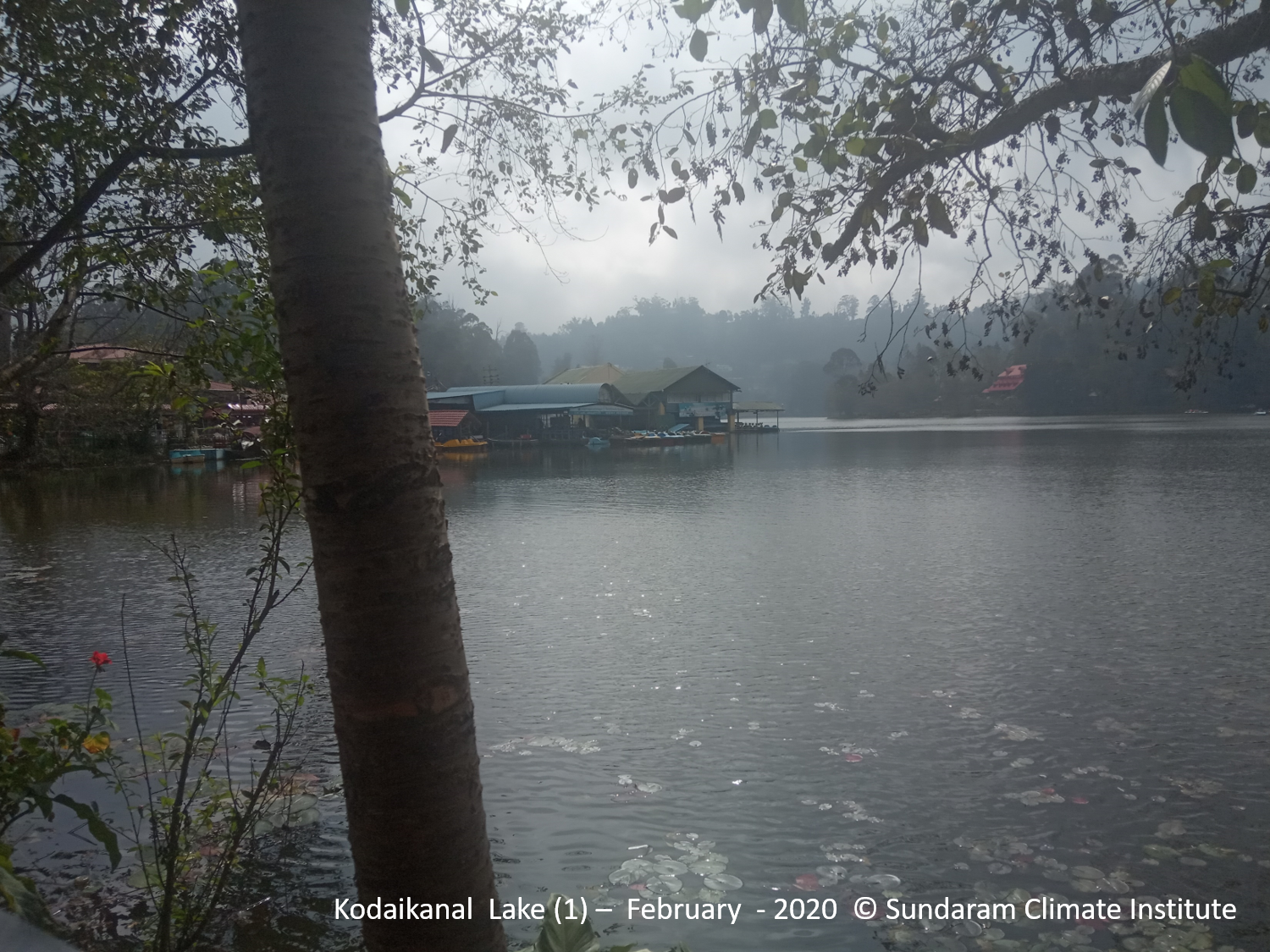 CIC Event Mridula Ramesh